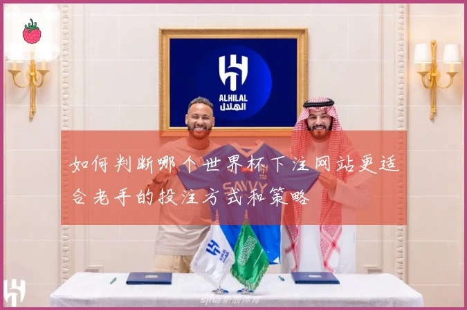 如何判断哪个世界杯下注网站更适合老手的投注方式和策略