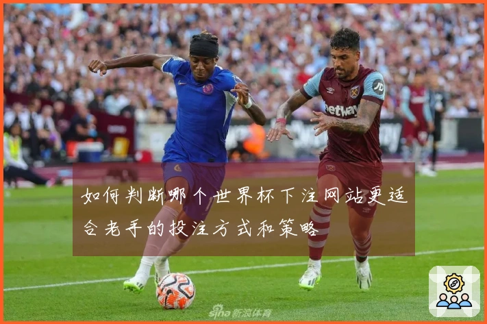 如何判断哪个世界杯下注网站更适合老手的投注方式和策略