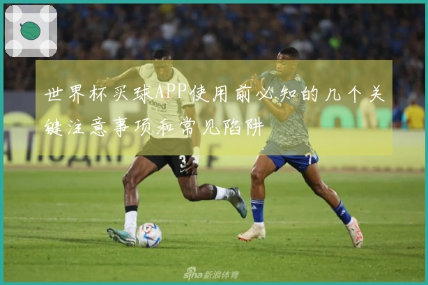 世界杯买球APP使用前必知的几个关键注意事项和常见陷阱