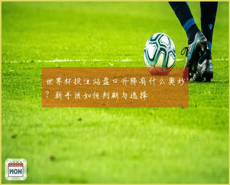 世界杯投注站盘口升降有什么奥妙？新手该如何判断与选择