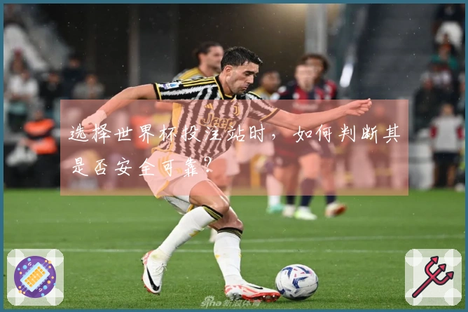 选择世界杯投注站时，如何判断其是否安全可靠？
