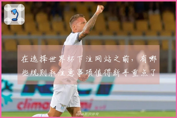 在选择世界杯下注网站之前，有哪些规则和注意事项值得新手重点了解？