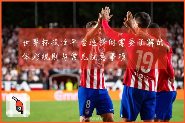 世界杯投注平台选择时需要了解的体彩规则与常见注意事项