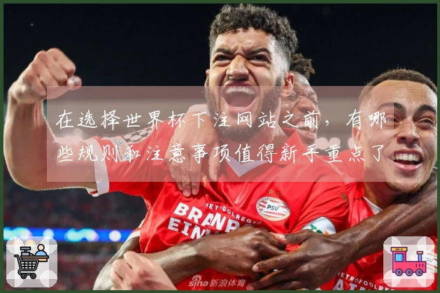 在选择世界杯下注网站之前，有哪些规则和注意事项值得新手重点了解？